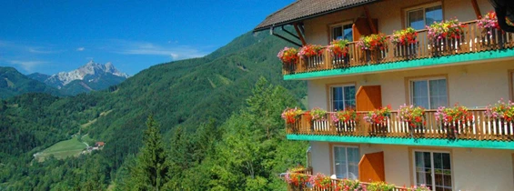 MonteurZimmer: Motelansicht - Panorama Motel Brunner