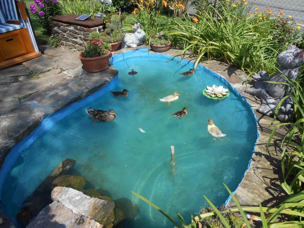 Monteur-Zimmer - Preis pro Nacht - Palfau - Pension Gierlinger