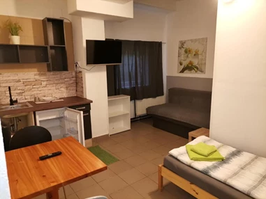 MonteurZimmer: Pension Prem