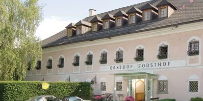 Monteur-Zimmer - Pasching (Pasching) - Forsthof