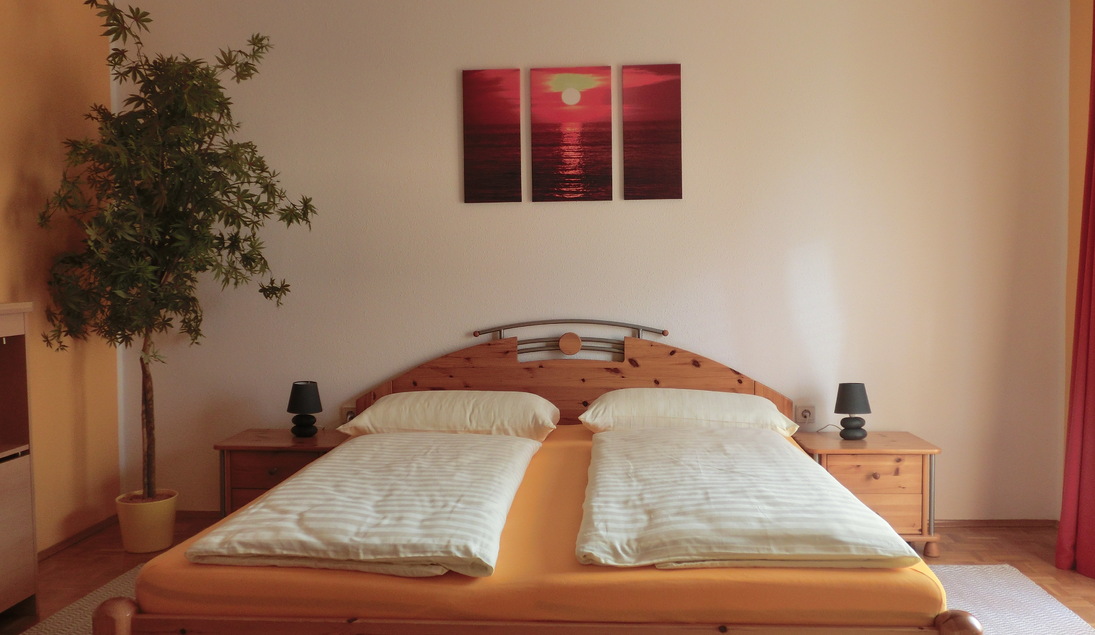 Monteur-Zimmer - Fernseher - Thalgau - Ferienwohnung Fröhlich