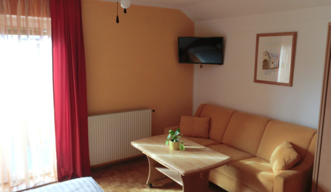 Monteur-Zimmer - Fernseher - Thalgau - Ferienwohnung Fröhlich