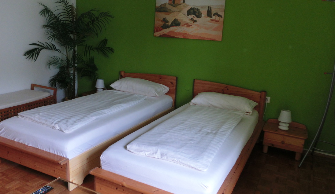 Monteur-Zimmer - Fernseher - Thalgau - Ferienwohnung Fröhlich