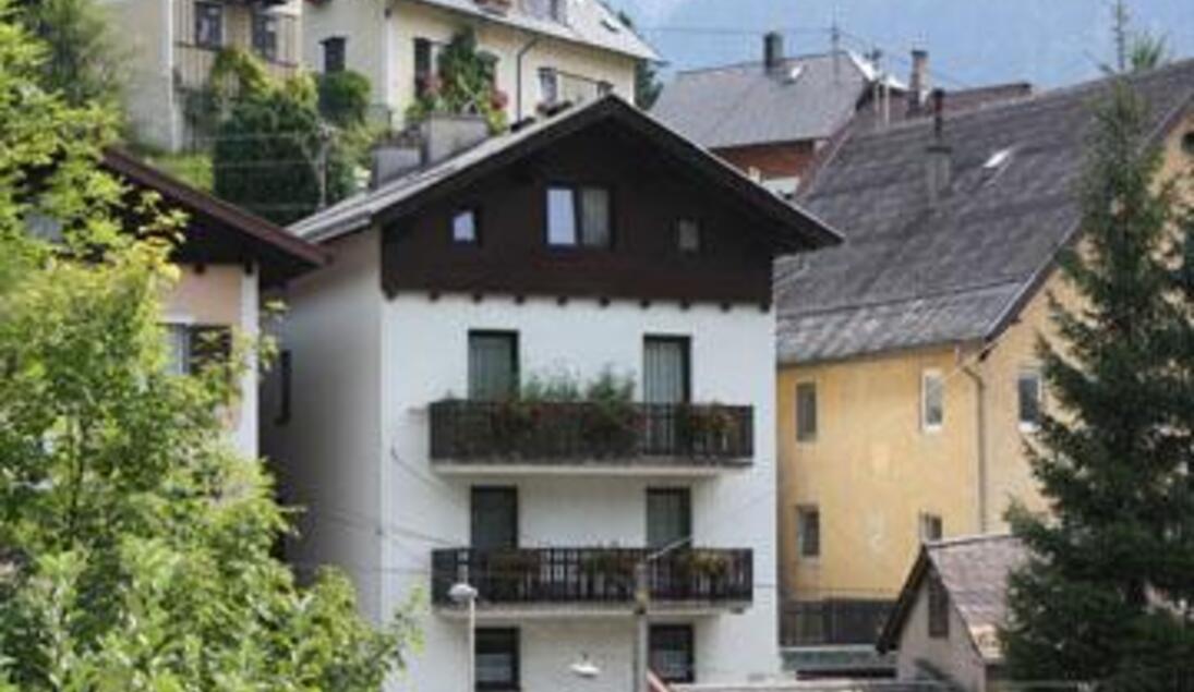 Monteur-Zimmer - Ebensee - Ferienwohnung Herbert Binder