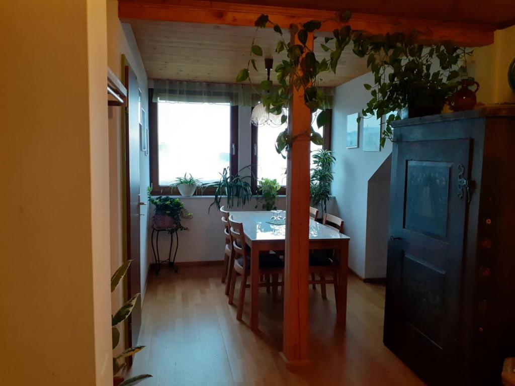 Monteur-Zimmer - Preis pro Nacht - Stainz - Obstbau und Gästezimmer Stani