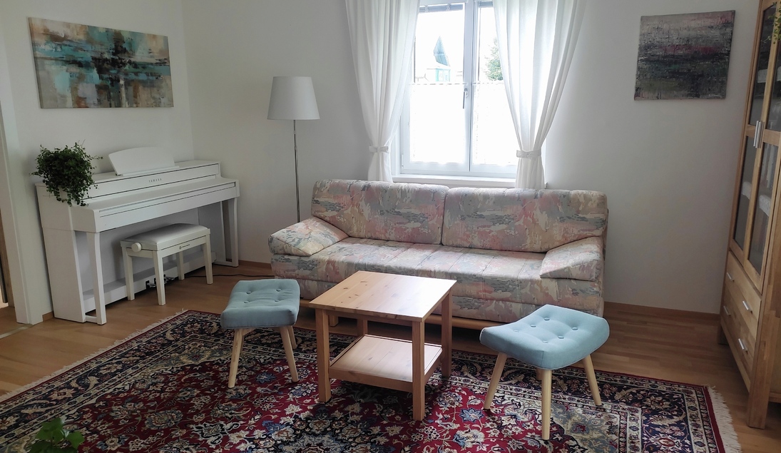 Monteur-Zimmer - Bad Ischl - Ferienwohnung Rosenau Seewalchen