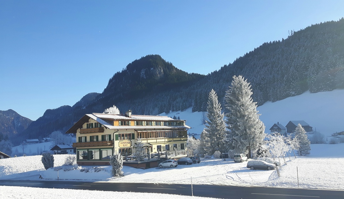 Monteur-Zimmer - Bad Ischl - Anni´s Hotel-Restaurant GOSAUERHOF***