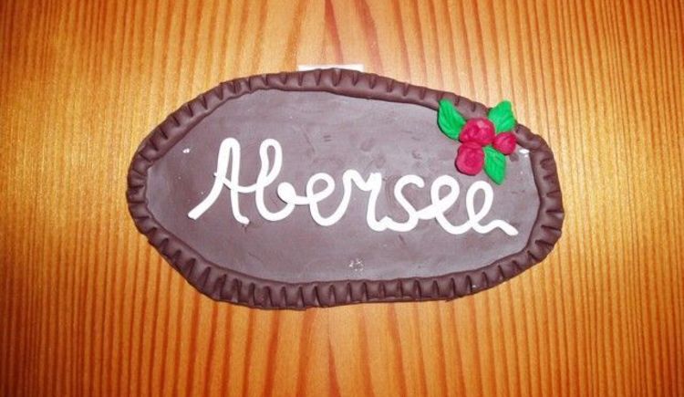 Monteur-Zimmer - Bad Ischl - Appartement Scheibling