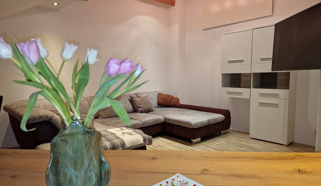 Monteur-Zimmer - Klam - Mühlviertel Lodge