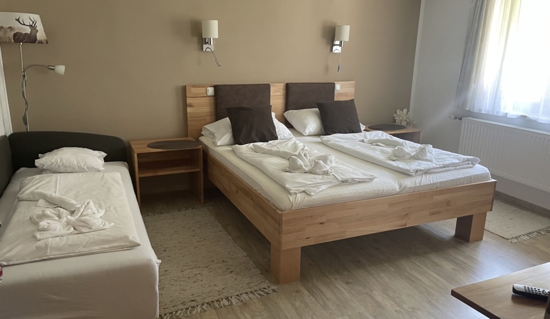 Monteur-Zimmer - Bad Ischl - Dormio Gasthof Höllwirt