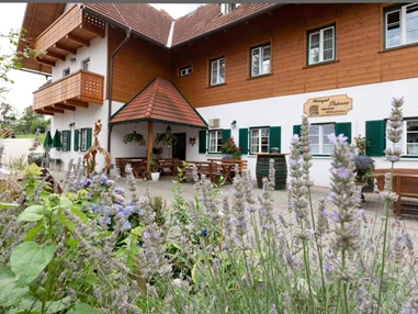 MonteurZimmer: Weingut Seiner vlg. Kraxner