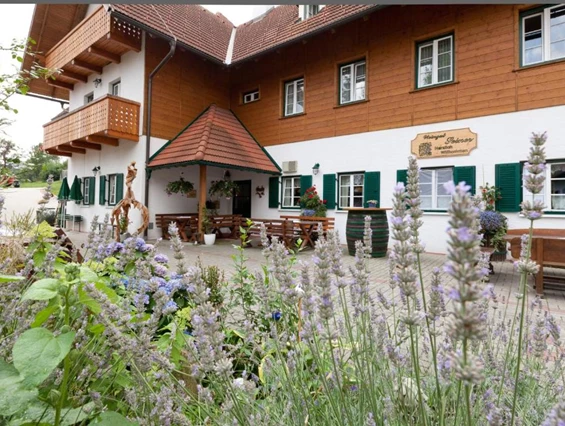 MonteurZimmer: Weingut Seiner vlg. Kraxner