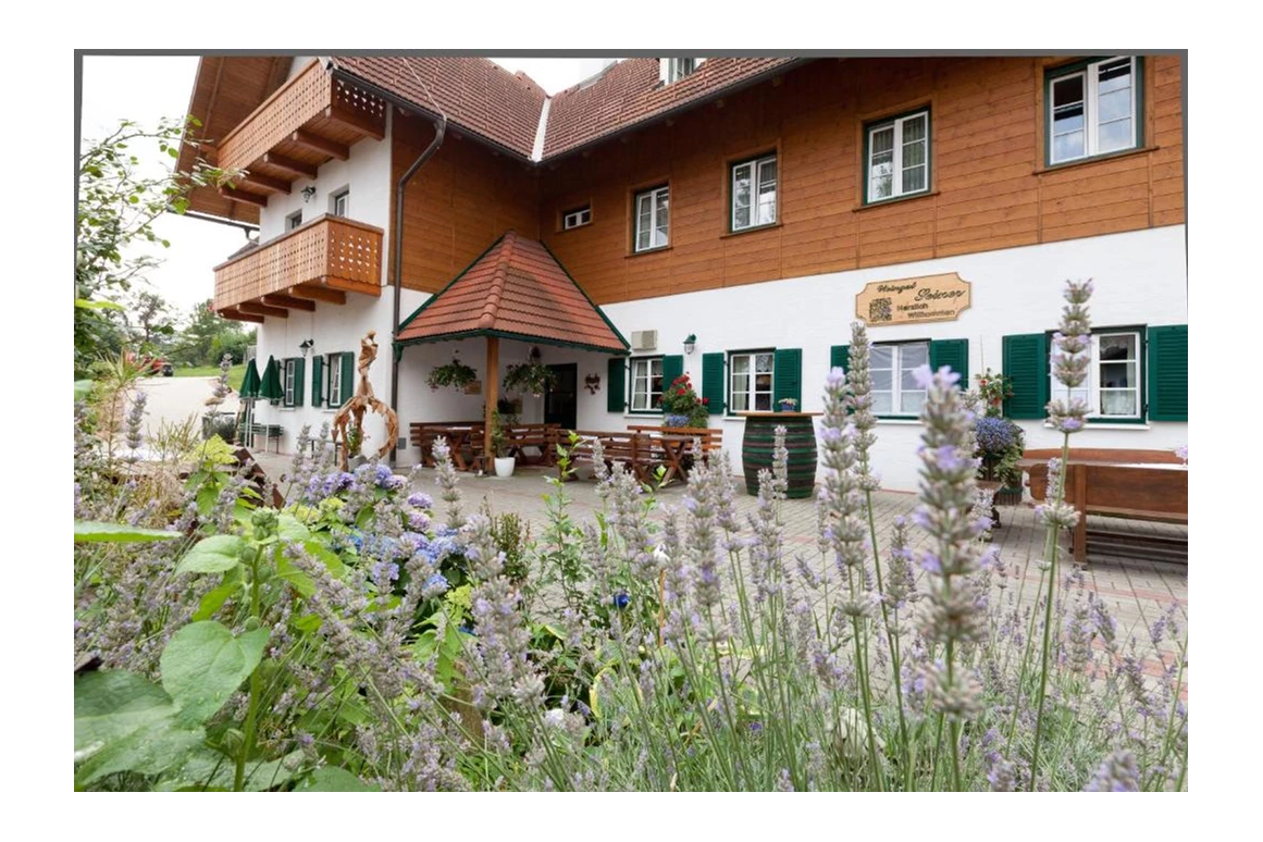 MonteurZimmer: Weingut Seiner vlg. Kraxner
