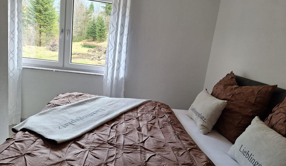 Monteur-Zimmer - Unterlaussa (Weyer) - Gamsblick Apartments