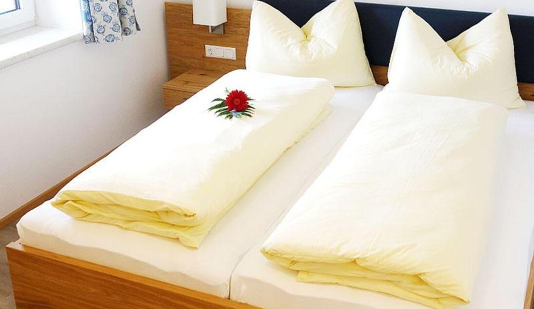 Monteur-Zimmer - Preis pro Nacht - Nußdorf am Attersee - Gasthaus Watschinger Zur Grünen AU in Bad Wimsbach