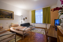 Monteur-Zimmer - Groß-Enzersdorf - Ferienwohnungen Zottl