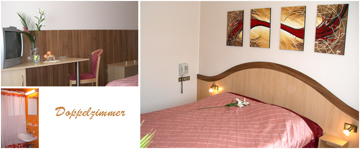 Monteur-Zimmer - Groß-Enzersdorf - Pension Ina