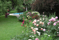 Monteur-Zimmer - Preis pro Nacht - Maria Ellend - Anzengruber Appartements - Gästezimmer