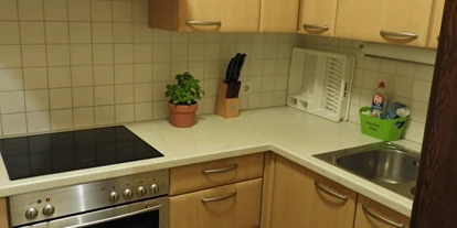 Monteur-Zimmer - Gallspach - Wohnung 4600 Wels, Herderstr. 44:
Vollausgestattete Küche - Wohnungen 4600 Wels, Herderstraße 44 und 48