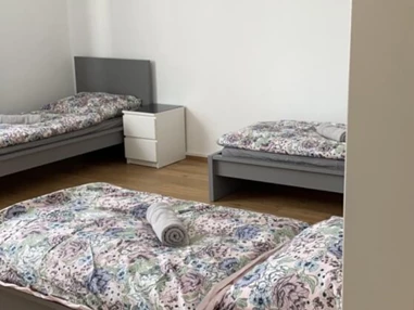 MonteurZimmer: Apartment Wels Saric