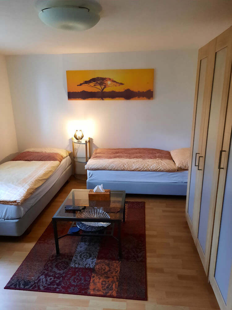 Monteur-Zimmer - Mödling - Apartment SINA