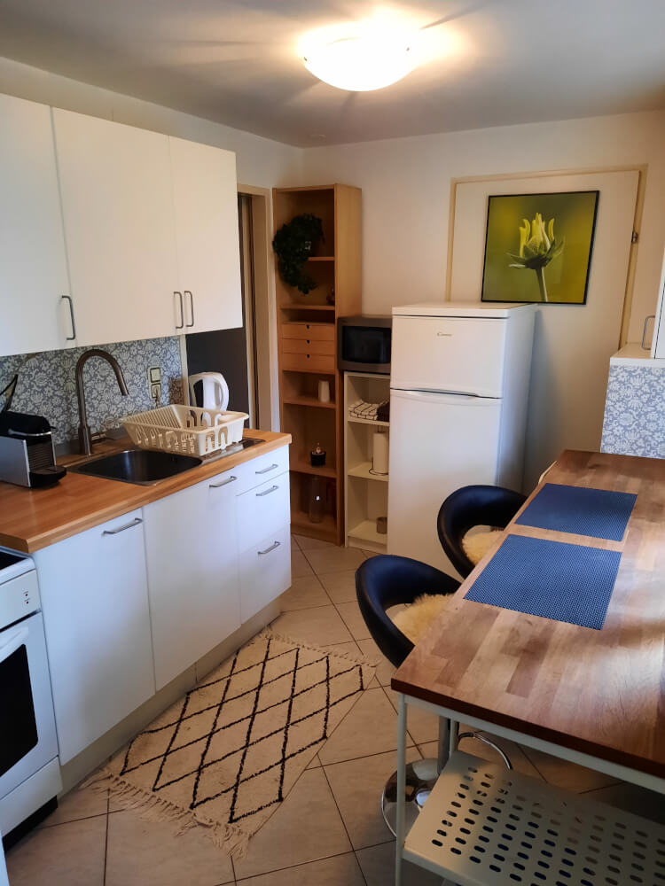 Monteur-Zimmer - Mödling - Apartment SINA