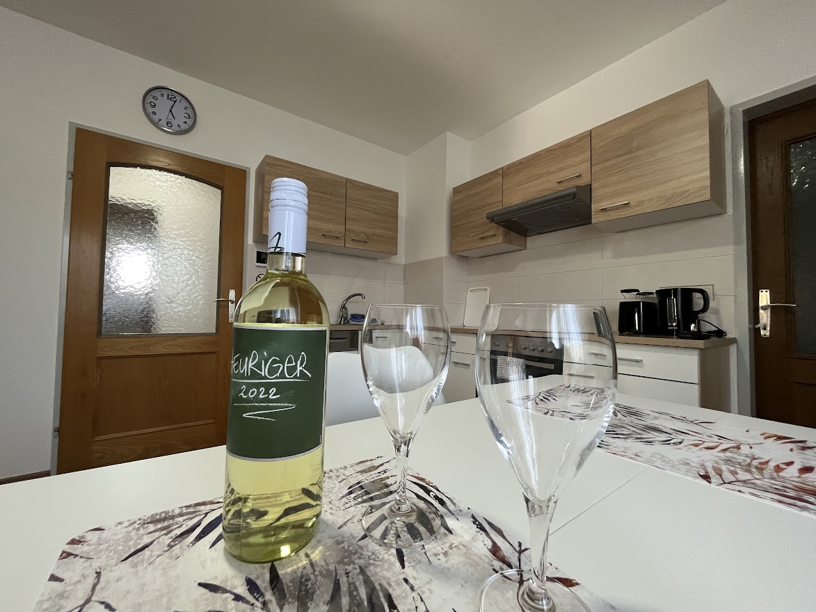 Monteur-Zimmer - Unterkunftsart: Apartment - St. Pölten - Haus HERZOGENBURG - Apartment Top 2