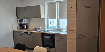 Monteur-Zimmer - Küche - Österreich - STUDIO-APARTMENT RATZERSDORFER SEEN in 3100 Sankt Pölten / Top 6a
