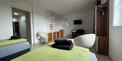 Monteur-Zimmer - Gemeinschaftsraum - Donauraum - APARTMENT RATZERSDORFER SEEN in 3100 Sankt Pölten / Top 8