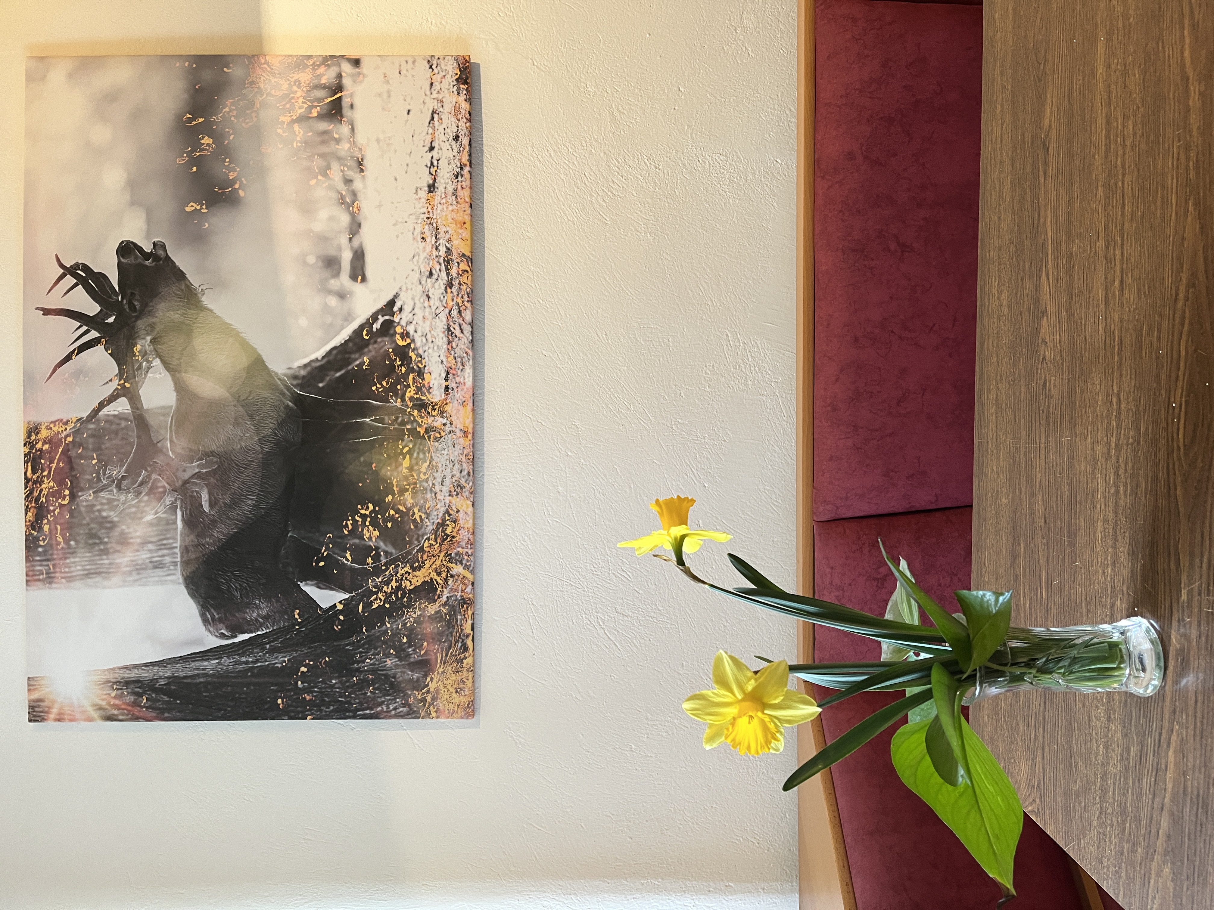 MonteurZimmer: APARTMENT RATZERSDORFER SEEN in 3100 Sankt Pölten / Top 9