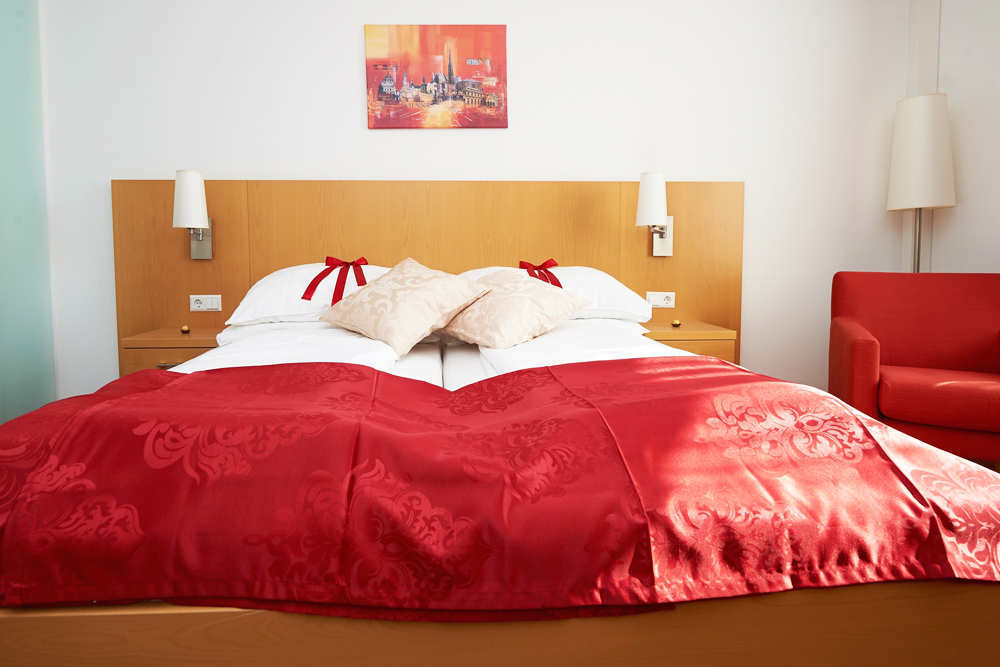 Monteur-Zimmer - Bad Vöslau - City Hotel Mödling e.U.