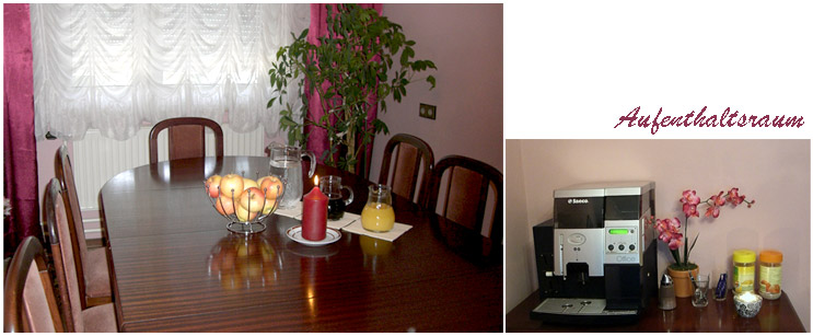 Monteur-Zimmer - Bad Vöslau - Pension Ina