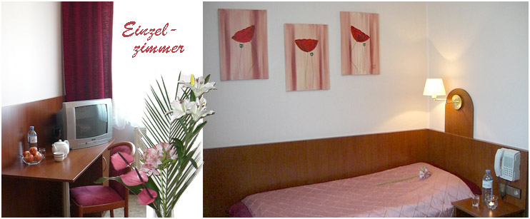 Monteur-Zimmer - Bad Vöslau - Pension Ina