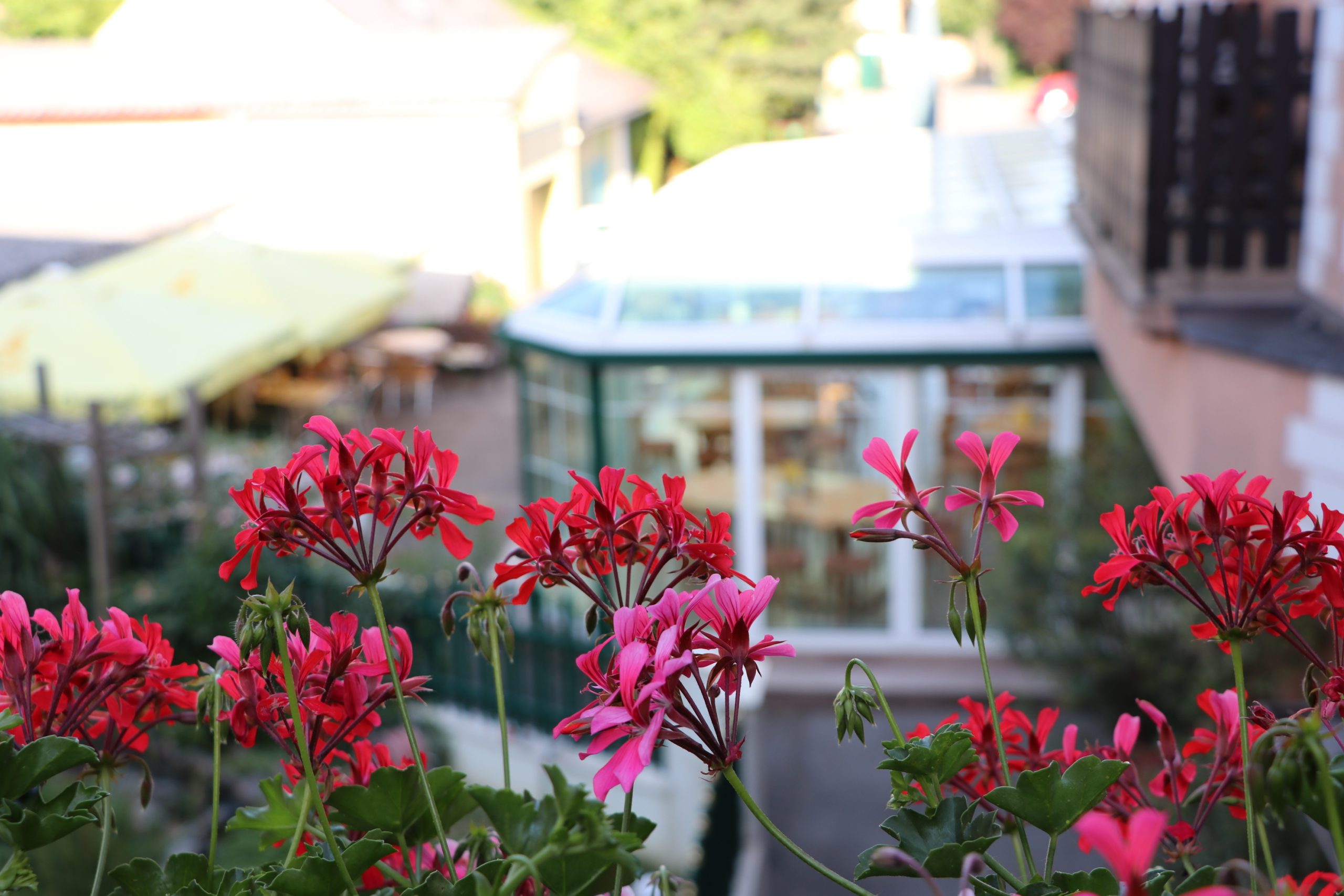 Monteur-Zimmer - Preis pro Nacht - Lanzendorf (Lanzendorf) - Gästezimmer Prager