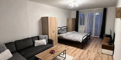 Monteur-Zimmer - Gallspach - Appartement „Wanky“