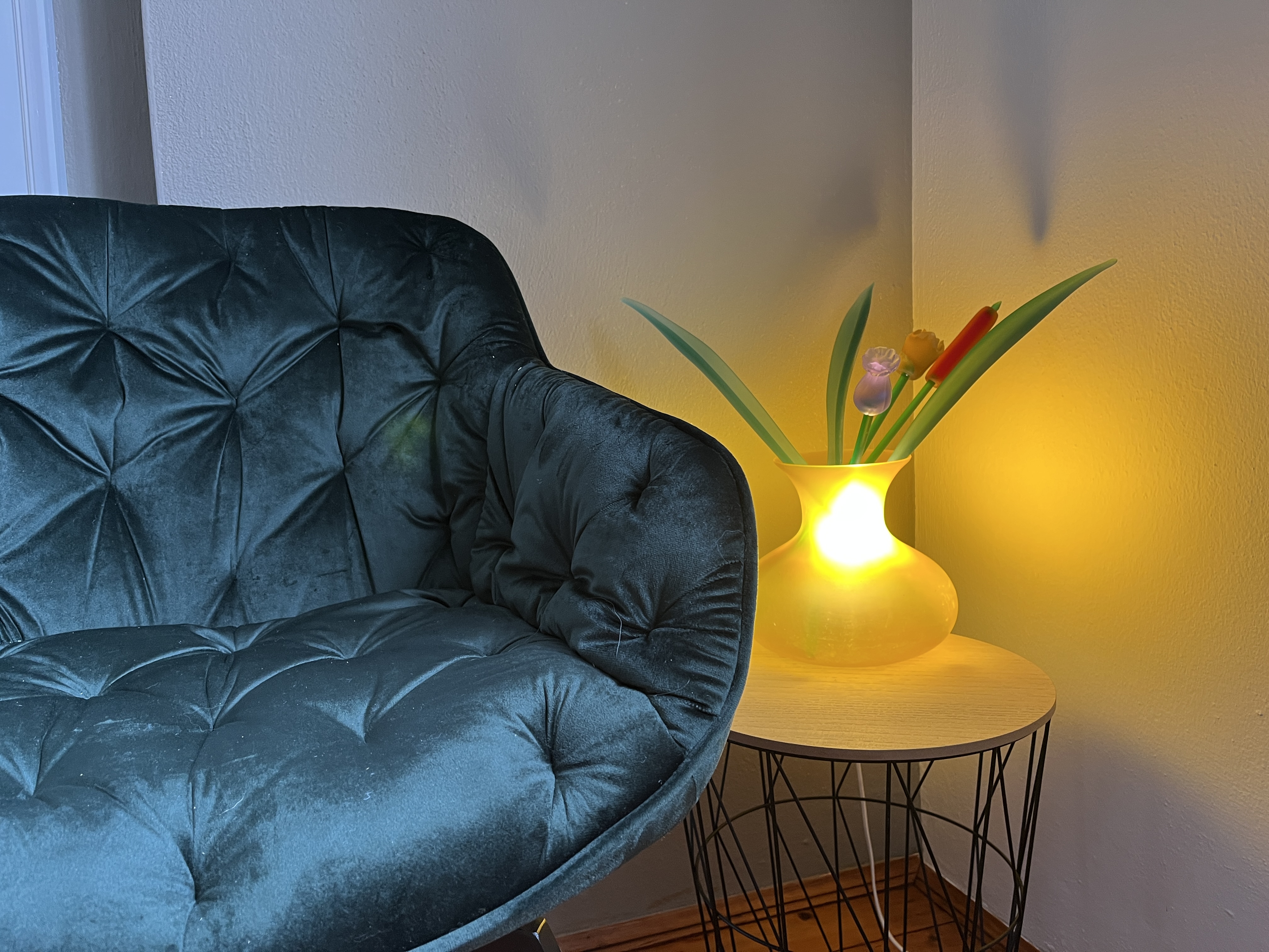 Monteur-Zimmer - Zimmerarten: Einzelzimmer - Senftenberg (Senftenberg) - APARTMENT "RAPHAEL" am SCHLOSS WALD in 3144 Pyhra bei St. Pölten 