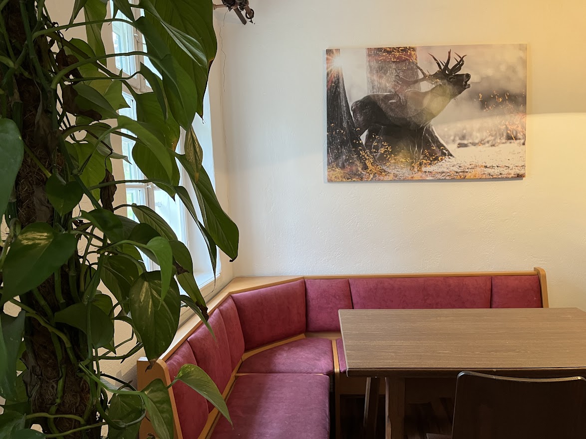 Monteur-Zimmer - Küche - Pyhra (Pyhra) - Monteurwohnung "Zur alten Forstkanzlei" in 3144 Pyhra bei St. Pölten