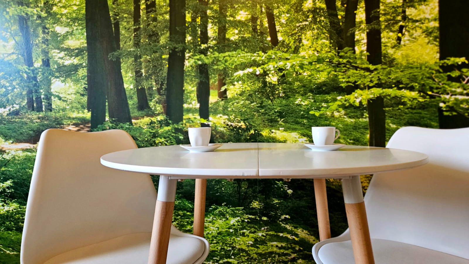 Monteur-Zimmer - Zimmerarten: Einzelzimmer - Senftenberg (Senftenberg) - Kurzzeitvermietung WALDVIERTEL-IDYLLE - Apartment Top 1/C