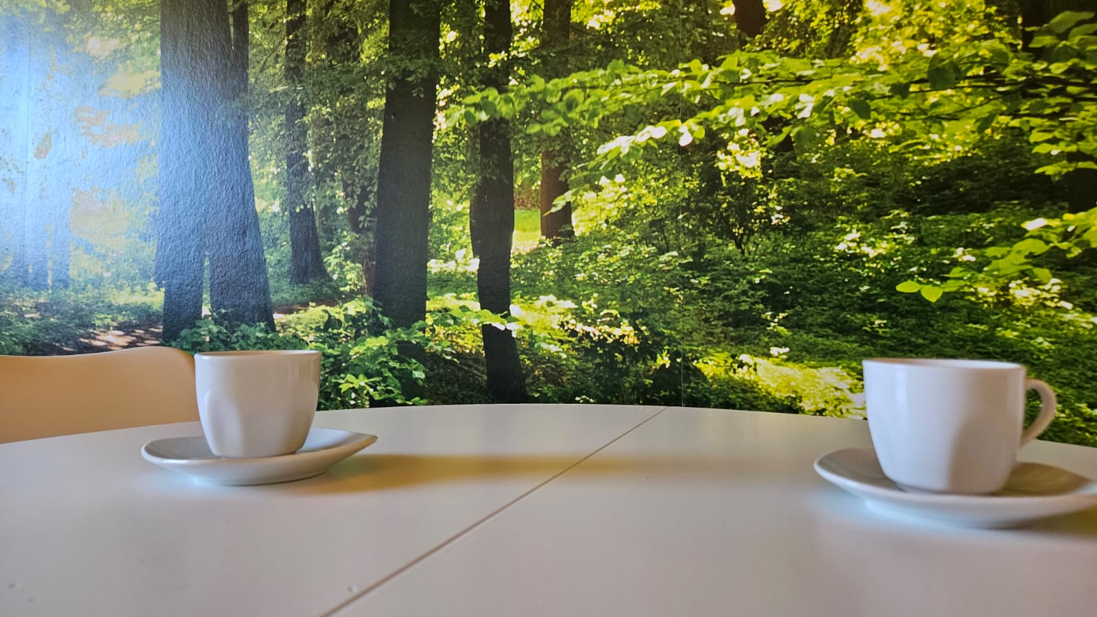 MonteurZimmer: Kurzzeitvermietung WALDVIERTEL-IDYLLE - Apartment Top 1/C