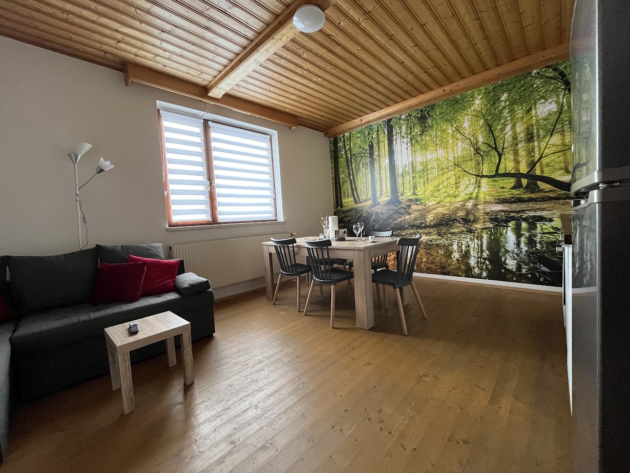 Monteur-Zimmer - Zimmerarten: Einzelzimmer - Senftenberg (Senftenberg) - Kurzzeitvermietung WALDVIERTEL-IDYLLE - Apartment Top 2/E