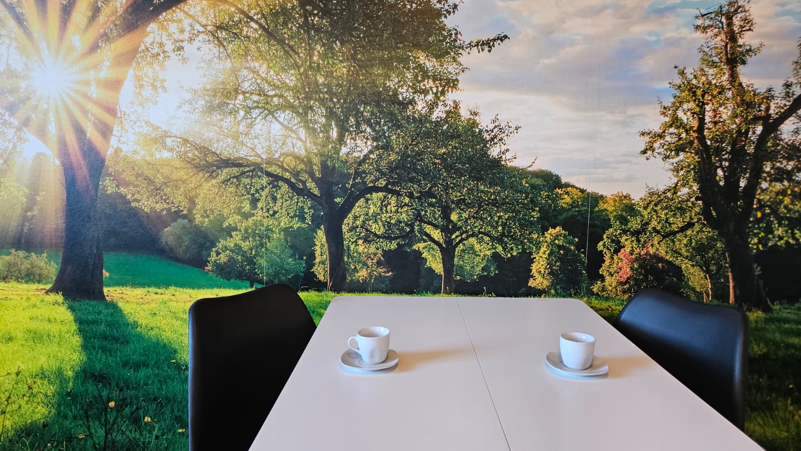 Monteur-Zimmer - Zimmerarten: Einzelzimmer - Senftenberg (Senftenberg) - Kurzzeitvermietung WALDVIERTEL-IDYLLE - Apartment Top 2/E