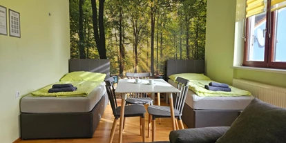 Monteur-Zimmer - Zahlungsarten: Vorauskasse - Österreich - Großapartment WALDVIERTEL-IDYLLE - Apartment Top 1/D