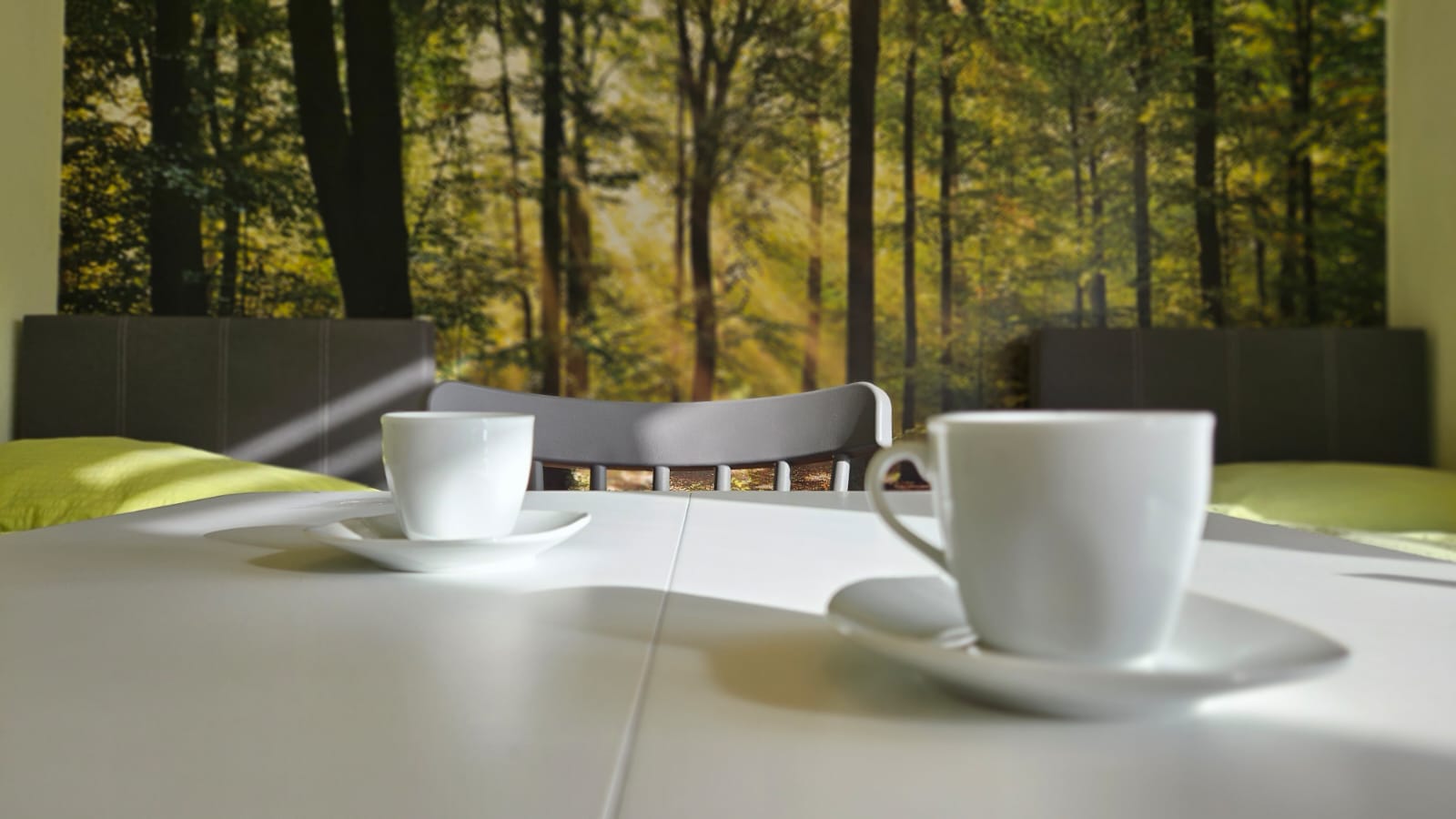 Monteur-Zimmer - Zimmerarten: Einzelzimmer - Senftenberg (Senftenberg) - Großapartment WALDVIERTEL-IDYLLE - Apartment Top 1/D