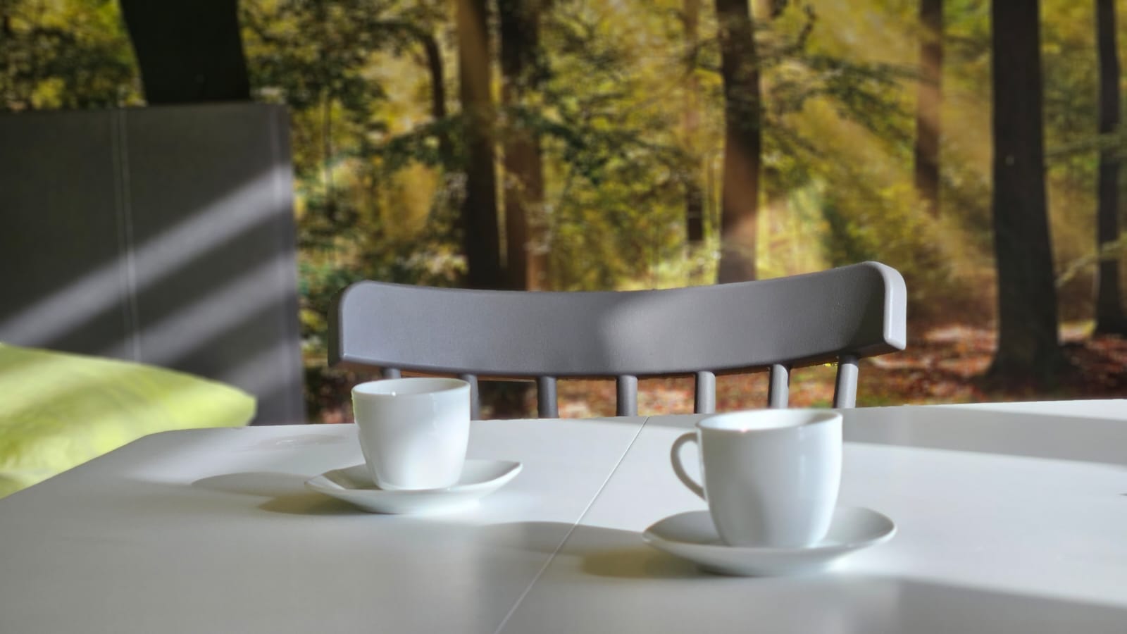 MonteurZimmer: Großapartment WALDVIERTEL-IDYLLE - Apartment Top 1/D