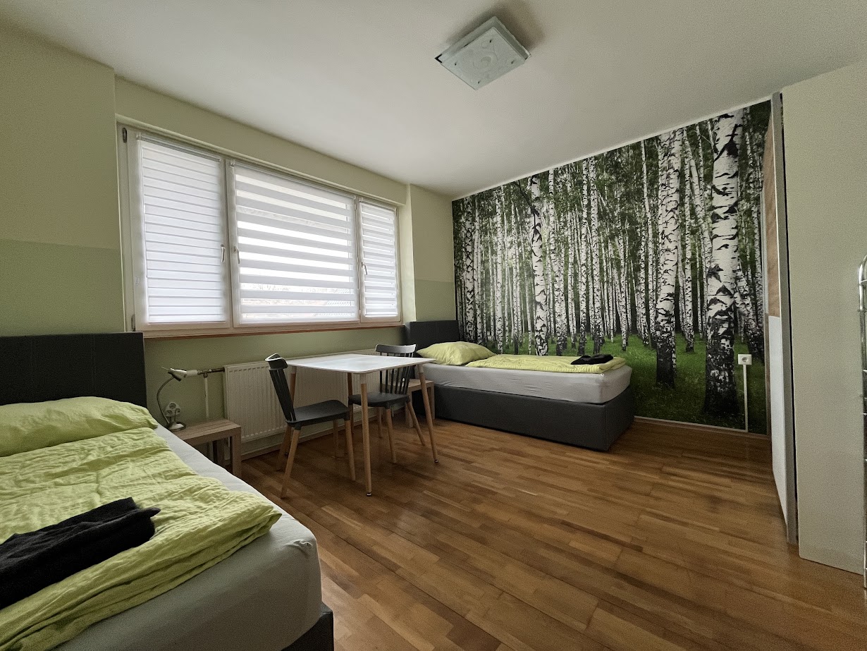 Monteur-Zimmer - Zimmerarten: Einzelzimmer - Senftenberg (Senftenberg) - XL-Apartment für 7 Personen  - WALDVIERTEL-IDYLLE - Apartment Top 2/F