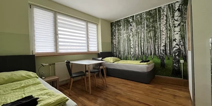 Monteur-Zimmer - Zahlungsarten: Vorauskasse - Österreich - XL-Apartment für 7 Personen  - WALDVIERTEL-IDYLLE - Apartment Top 2/F