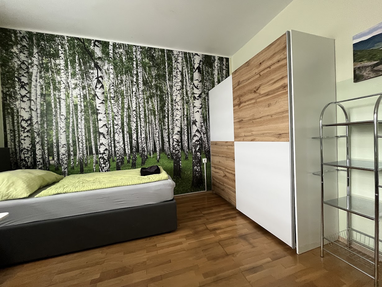 Monteur-Zimmer - Zimmerarten: Einzelzimmer - Senftenberg (Senftenberg) - XL-Apartment für 7 Personen  - WALDVIERTEL-IDYLLE - Apartment Top 2/F