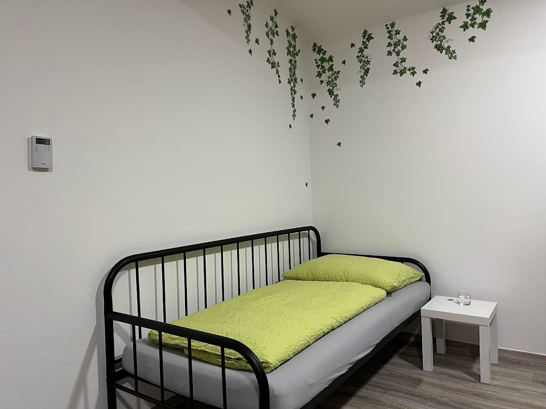 Monteur-Zimmer - Unterkunftsart: Apartment - St. Pölten - CITY-APARTMENT KREMS / Donau in der WACHAU