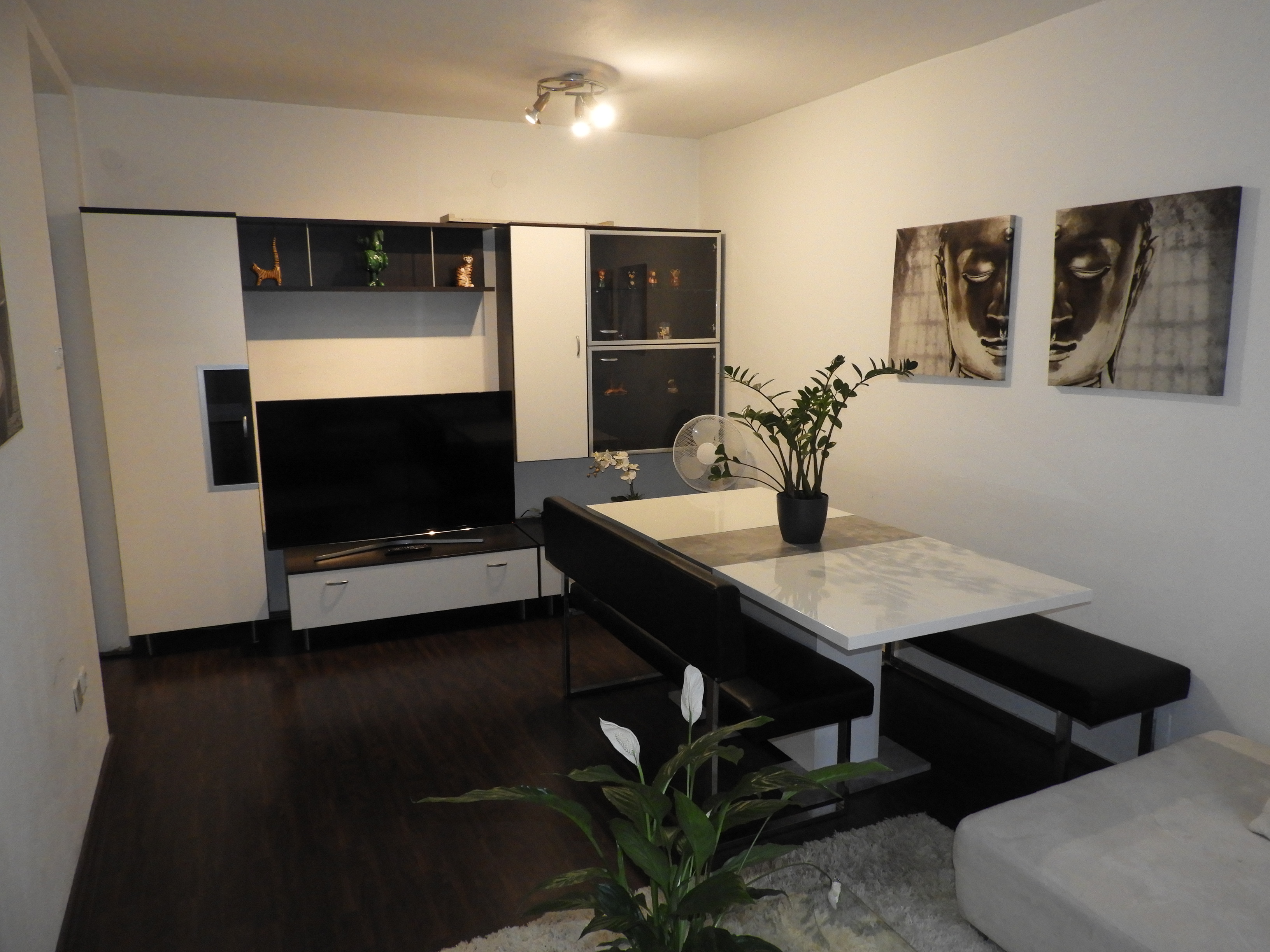 Monteur-Zimmer - Freistadt - Wohnung 4600 Wels, Südtirolerstr. 2:
Wohn-/ Esszimmer - Wohnung A-4600 Wels, Südtirolerstraße 2 und 10