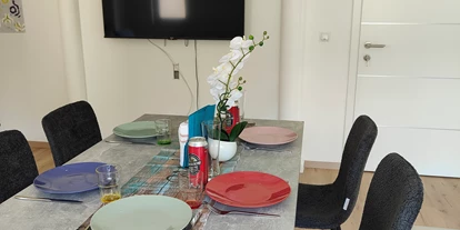 Monteur-Zimmer - Österreich - Fernseher - Ferienwohnung Landliebe